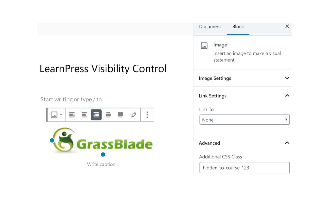 LearnPress Visibility Control Block Edit Page