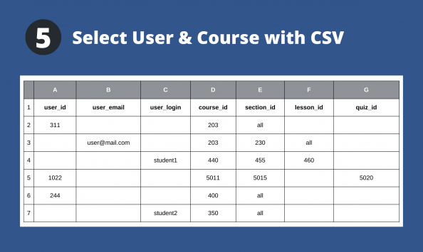 Example CSV column and data